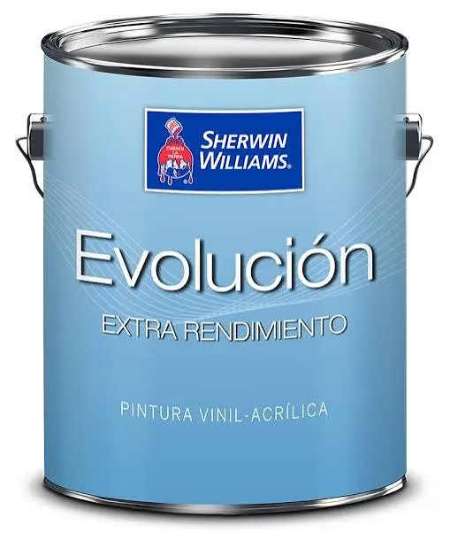 EVOLUCION NEGRO AZABACHE GL